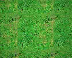 Tilable grass texture from an image tiling lesson, by __jrjwb__. The ~1 megapixel square texture uses DXT5 compression.