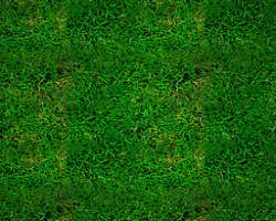 Tilable grass texture from an image tiling lesson, by __jrjwb__. The ~1 megapixel square texture uses DXT5 compression.