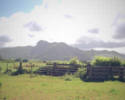 Near Kapa'a, Kaua'i, Hawai'i. Provides multires images (mip-maps). From the __OpenEXR__ project sample images.