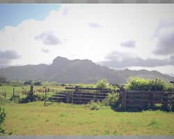 Near Kapa'a, Kaua'i, Hawai'i. Provides multires images (mip-maps).